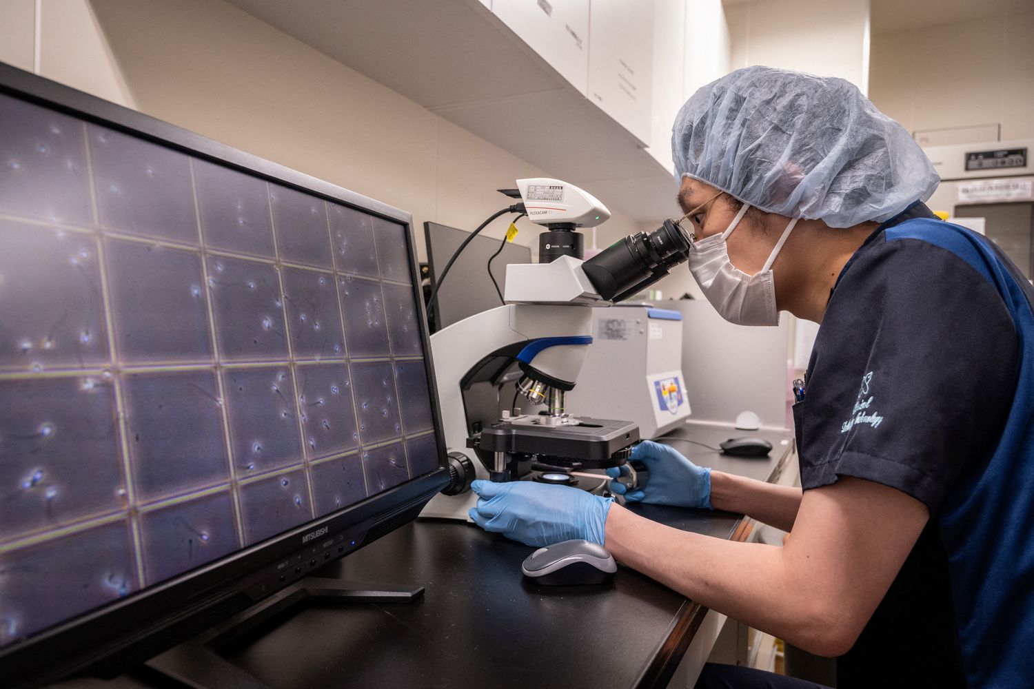 Analisi dei movimenti degli spermatozoi in una clinica per la donazione del liquido seminale a Tokyo