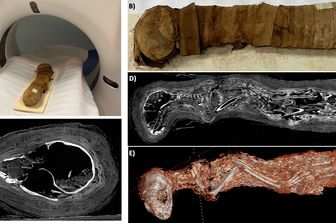 tomografia mummia egizia svela segreti sacrificio di un gatto