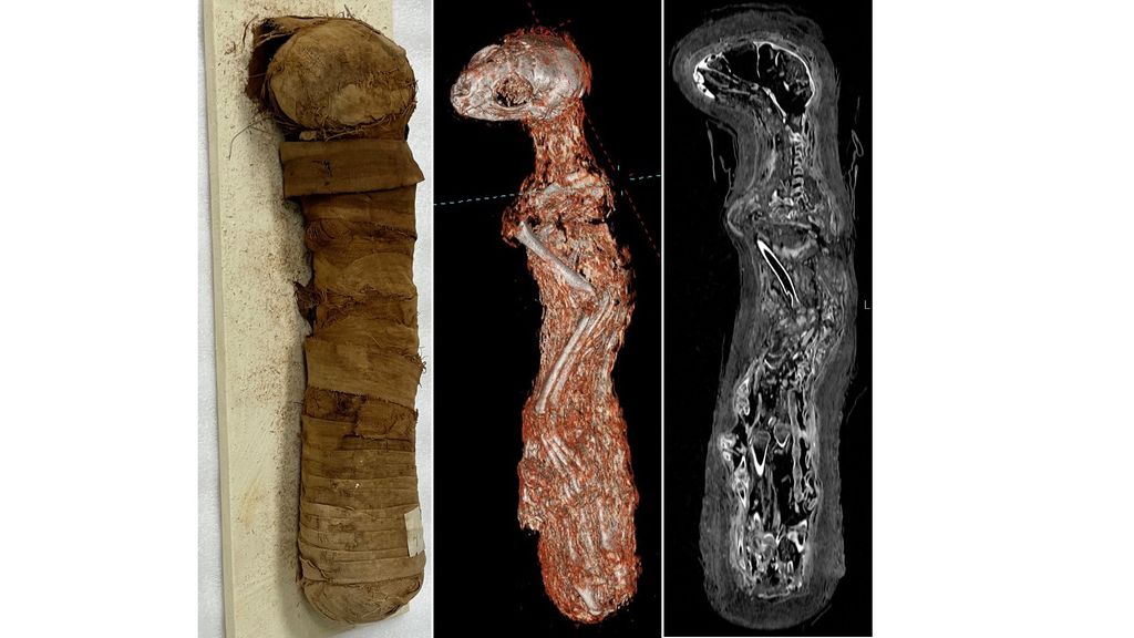 La mummia durante l&rsquo;analisi del cranio e dell&rsquo;intero corpo fino all'esempio di ricostruzione 3D