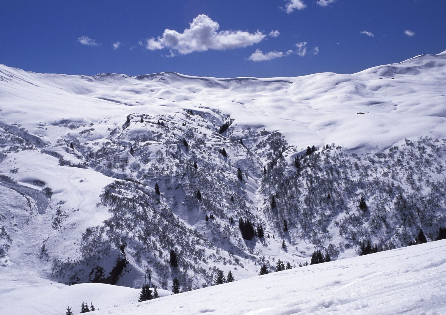 Una montagna innevata