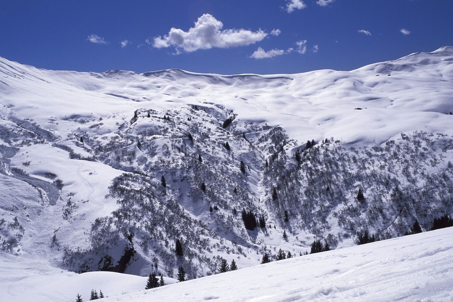 Una montagna innevata