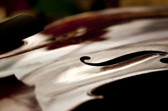 Violoncello