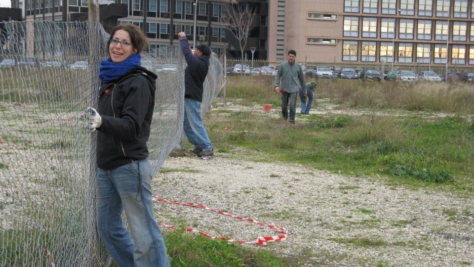 Gli orti della Garbatella &nbsp;