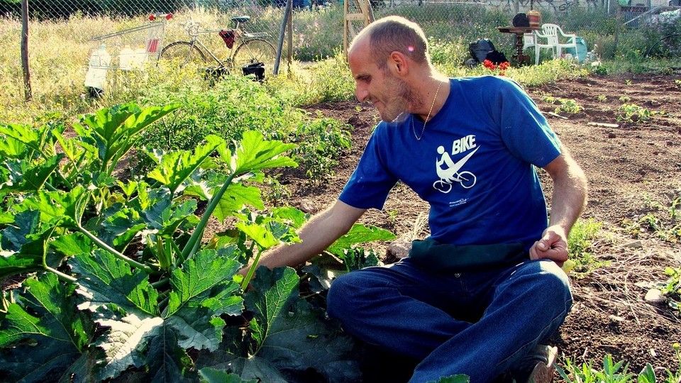 Gli orti della Garbatella &nbsp;