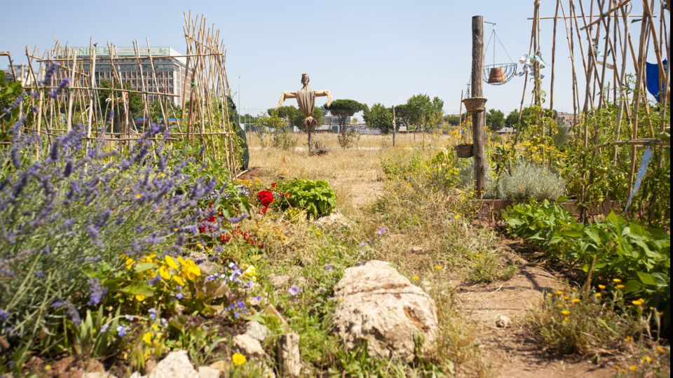 Gli orti della Garbatella &nbsp;