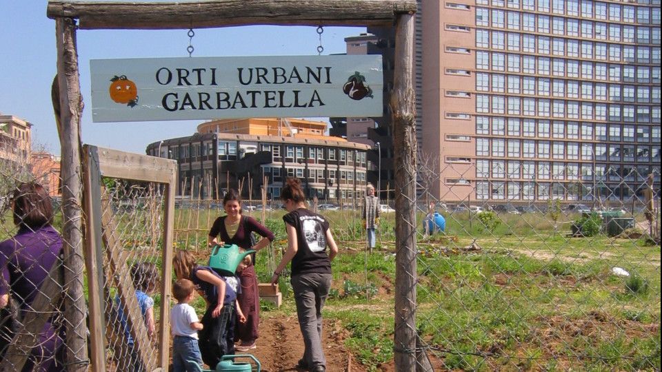 Gli orti della Garbatella &nbsp;
