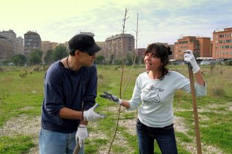 Gli orti della Garbatella &nbsp;