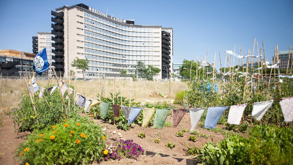 Gli orti della Garbatella &nbsp;