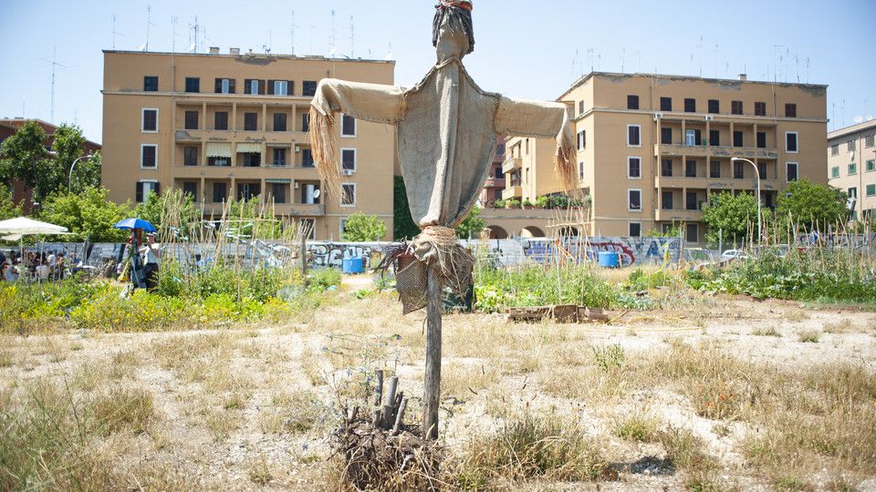 Gli orti della Garbatella &nbsp;