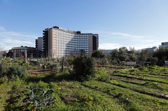 Gli orti della Garbatella ai piedi della Regione Lazio &nbsp;