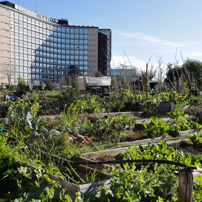 Gli orti urbani della Garbatella &nbsp;