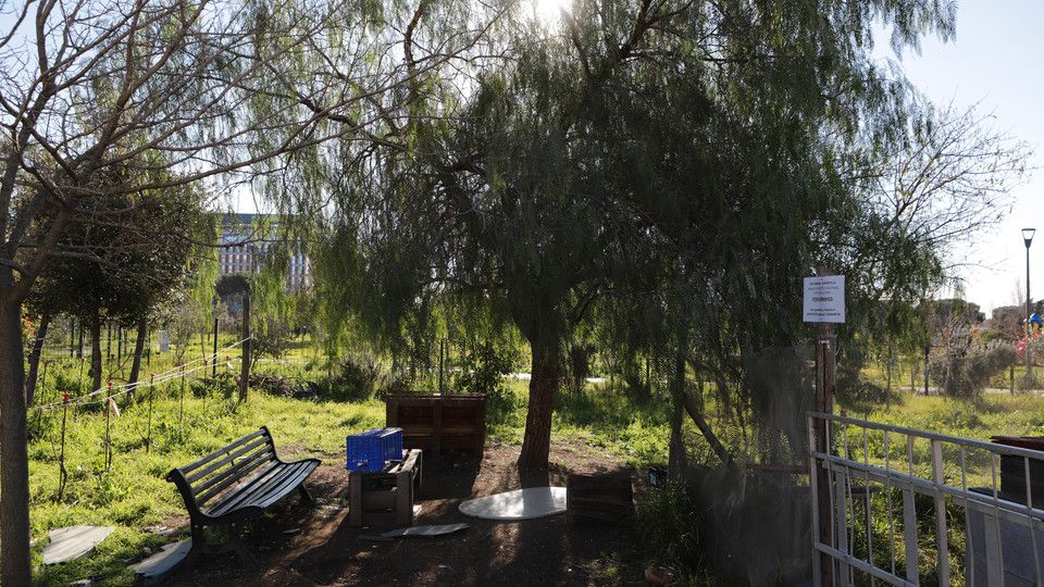 Orti urbani della Garbatella &nbsp;