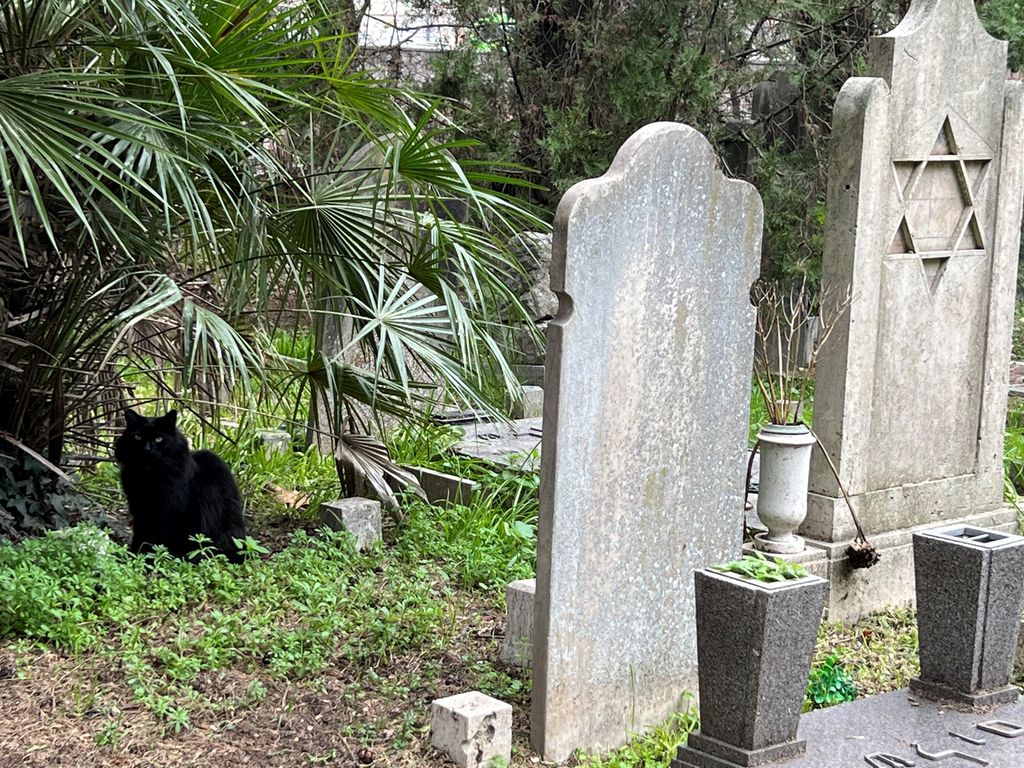 Pape, il randagio 'nero' del Verano &nbsp;