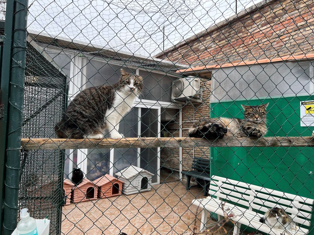 Regina e Ryan &nbsp;