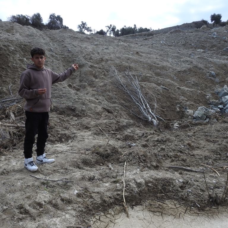 L'ulivo spezzato &nbsp;