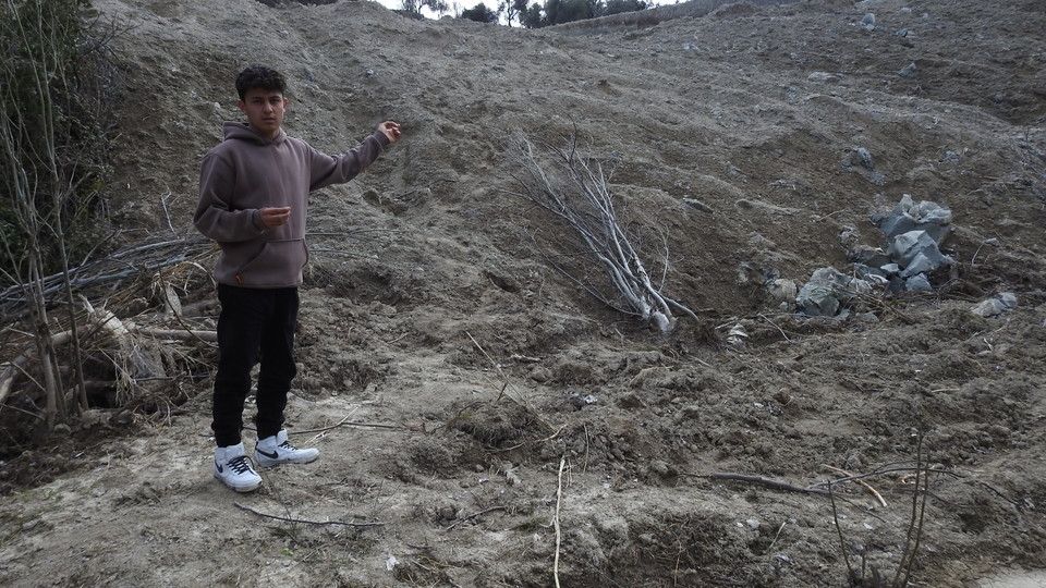 L'ulivo spezzato &nbsp;