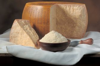 Parmigiano reggiano