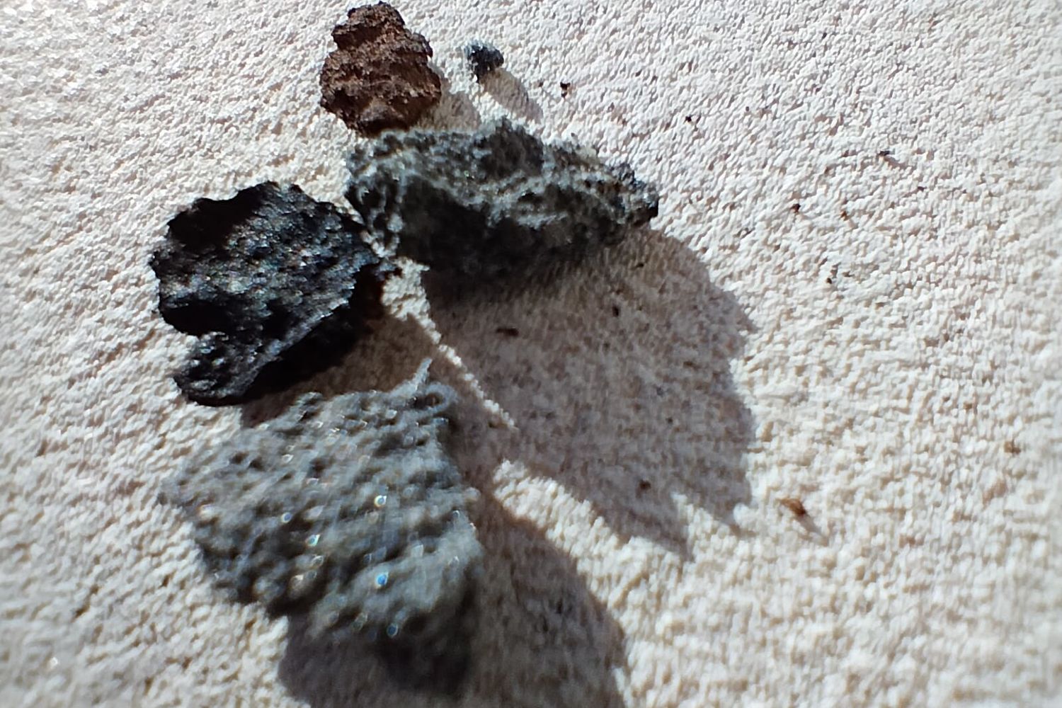 I frammenti rinvenuti a Matera