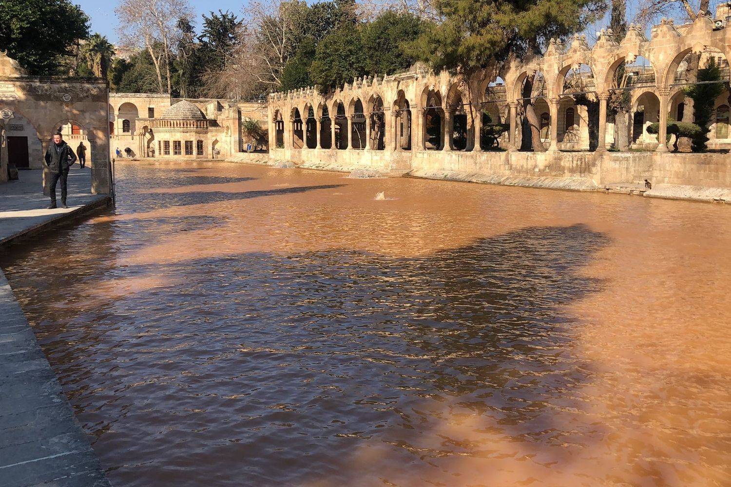Balikli gol, la piscina del profeta Abramo&nbsp;