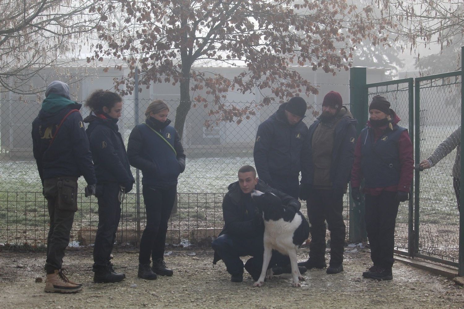 I cani aiutano chi &egrave; in carcere&nbsp;
