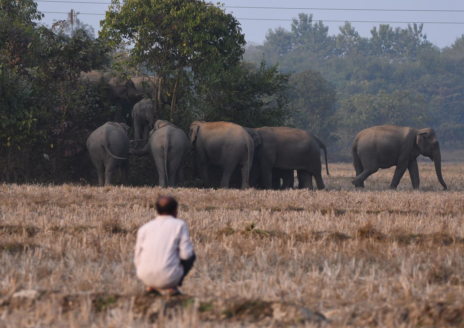 Un abitante di un villaggio in India osserva un elefante &nbsp;