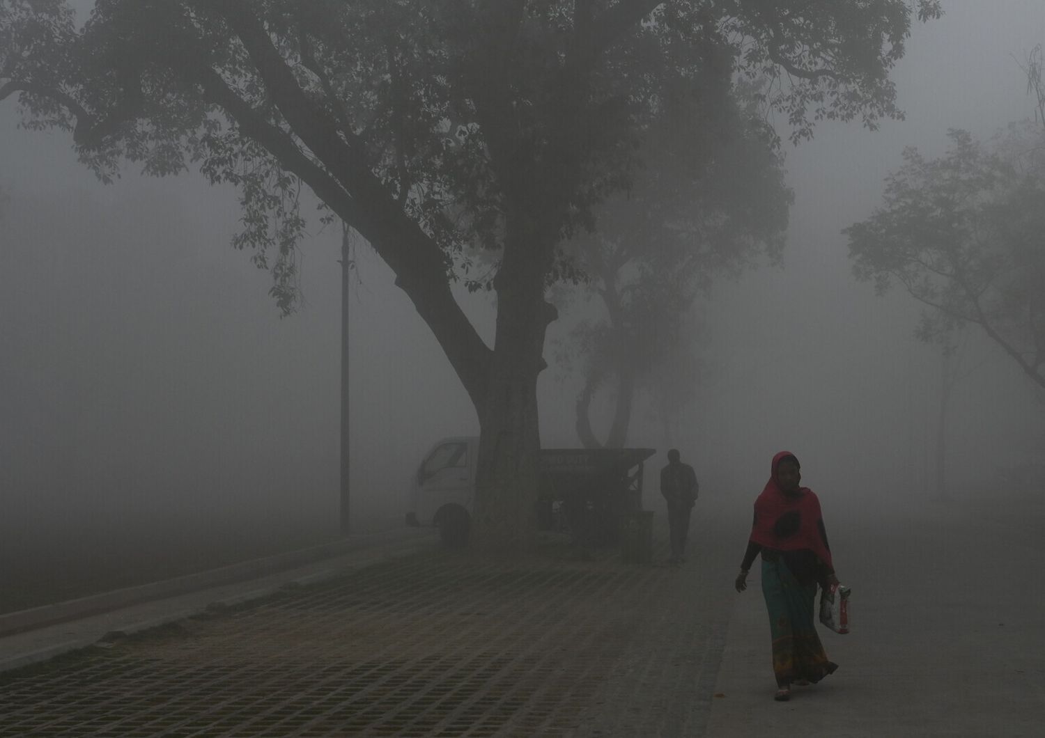 Una donna cammina a Nuova Delhi, in India, circondata dallo smog &nbsp;
