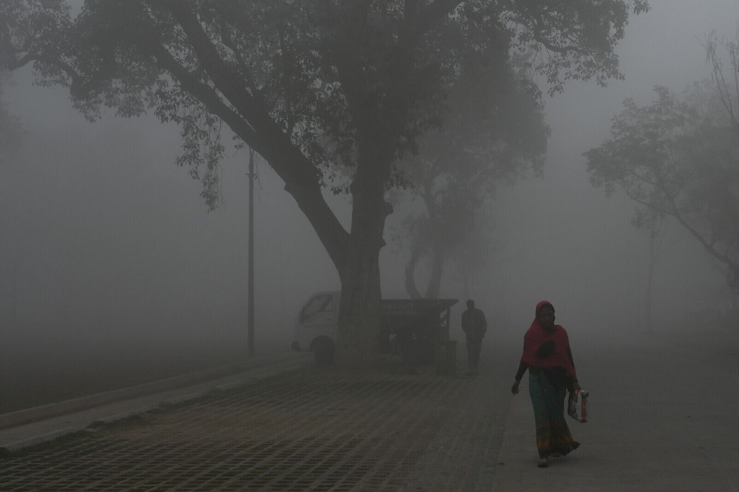 Una donna cammina a Nuova Delhi, in India, circondata dallo smog &nbsp;