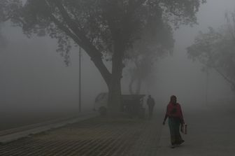 Una donna cammina a Nuova Delhi, in India, circondata dallo smog &nbsp;