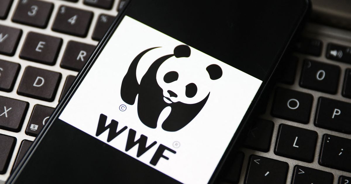 La Russia ha inserito il Wwf nella lista degli 'agenti stranieri'