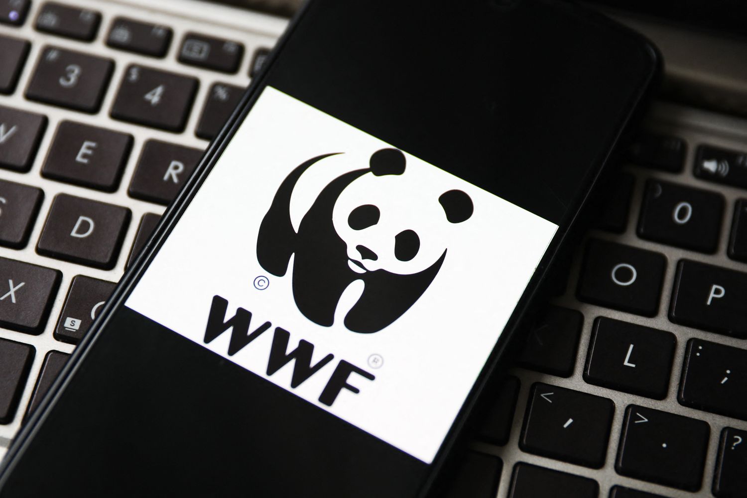 Wwf
