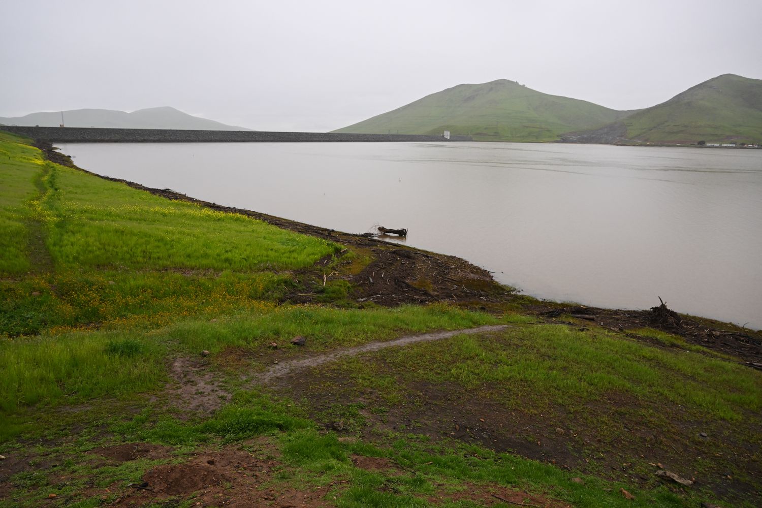Lago Tulare - California