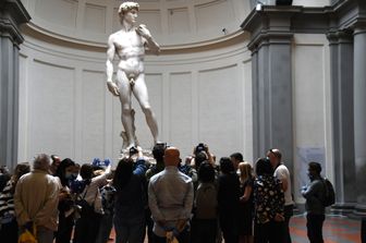 Il David di Michelangelo