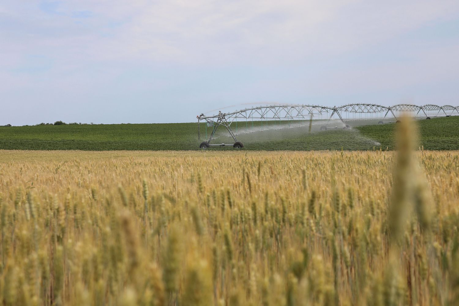 Irrigazione dei campi