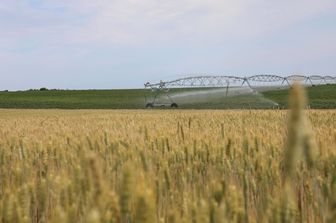 Irrigazione dei campi