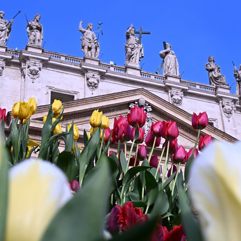 Fiori a piazza San Pietro