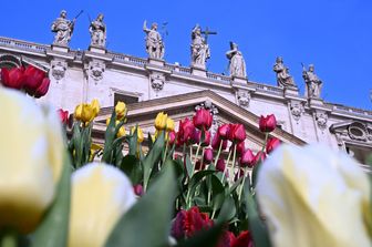 Fiori a piazza San Pietro