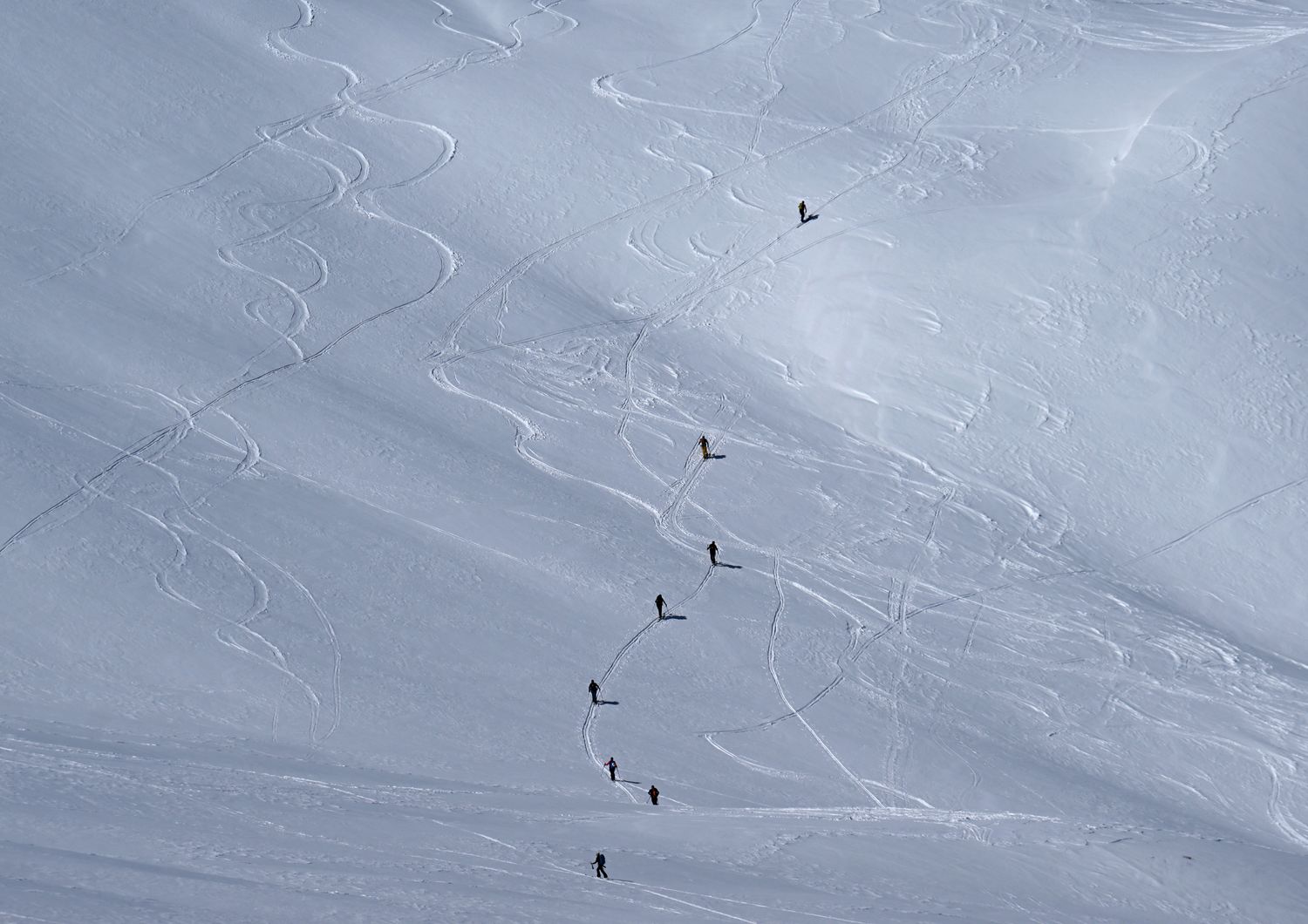 Scialpinisti nelle Alpi