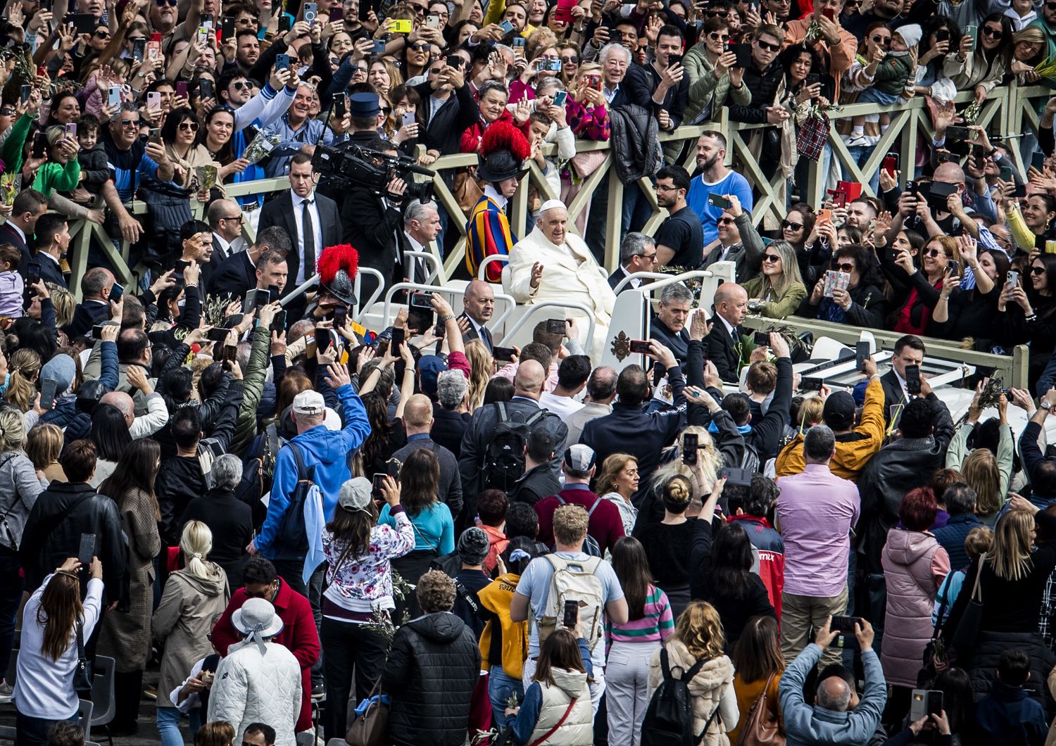 Papa Francesco alla Messa delle Palme