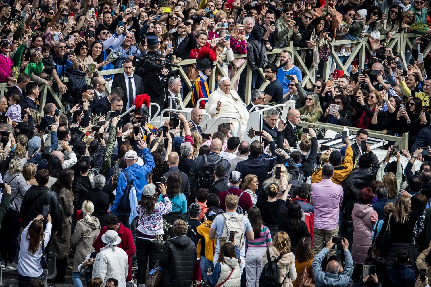 Papa Francesco alla Messa delle Palme