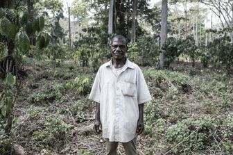 pigmei aka minacciati deforestazione africa