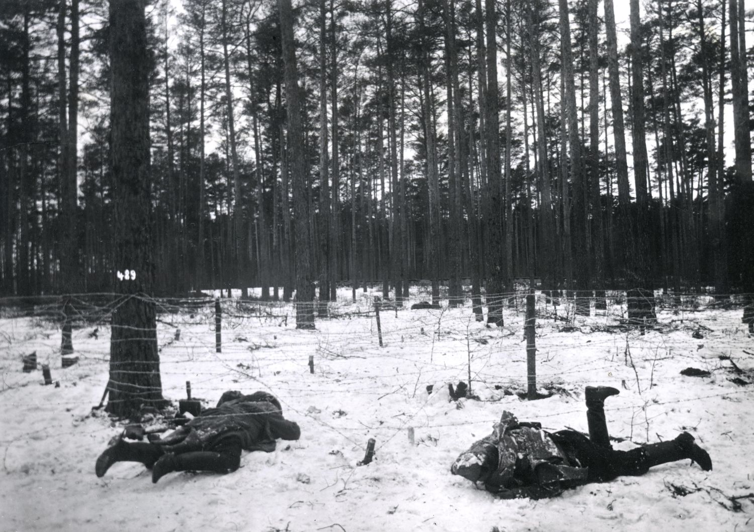 guerra polonia eccidio di katyn scoperta del massacro di ufficiali