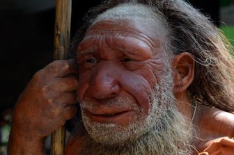 Una ricostruzione di un Neanderthal al Neandertal Museum che si trova in Germania tra Mettmann e Dusseldorf&nbsp;