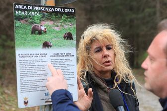 Orsi in Trentino