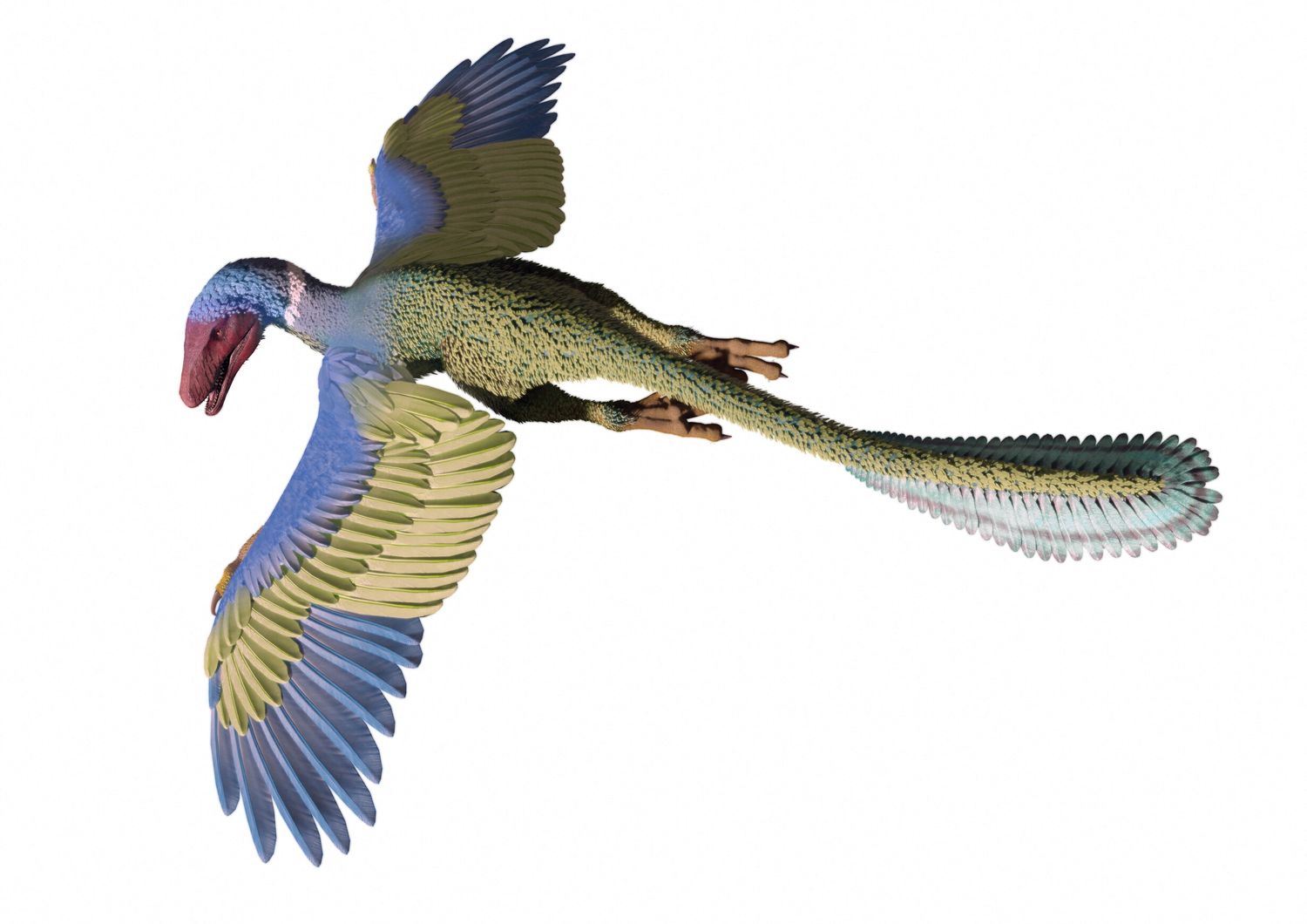 L'immagine di un dinosauro in volo &nbsp;