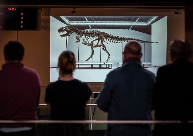 Il T-Rex battuto all'asta&nbsp;
