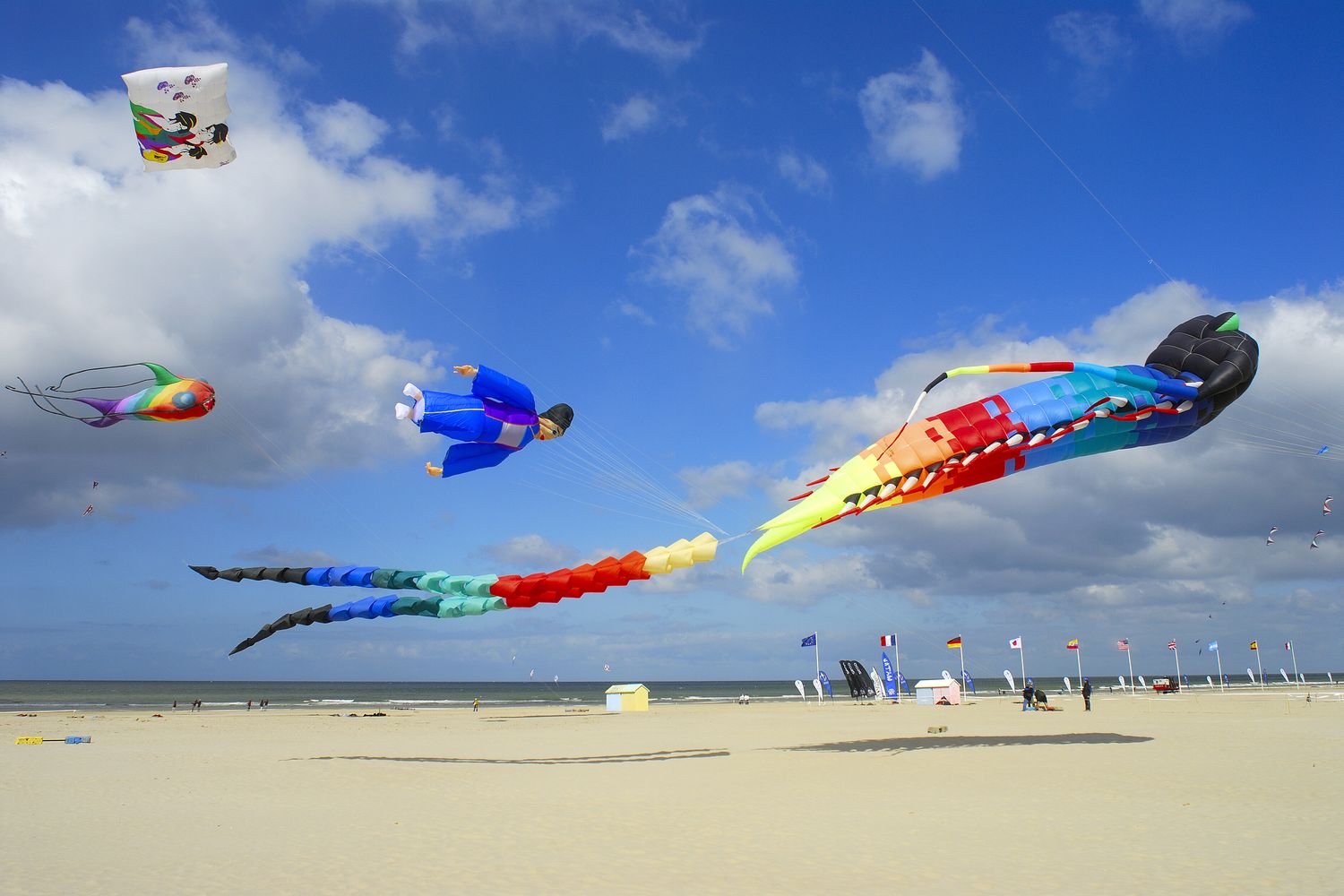 Il festival internazionale di aquiloni