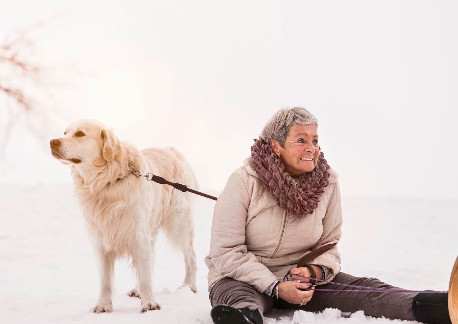 Un cane al guinzaglio