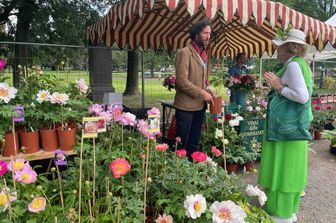 orticola milano fiori rose eventi