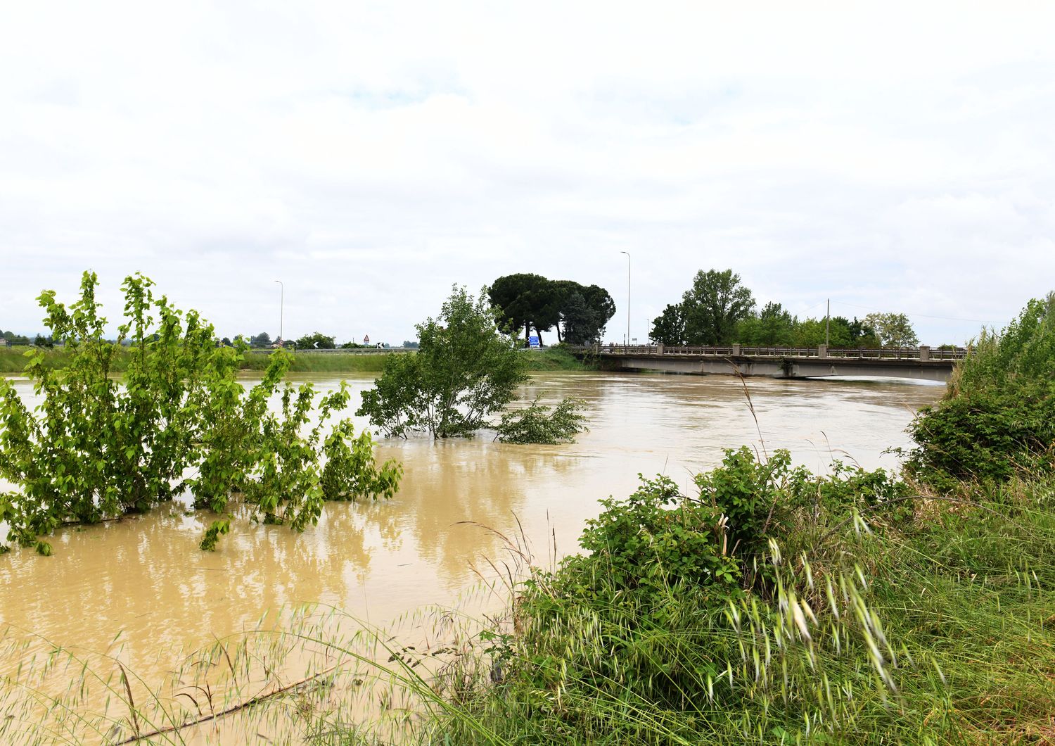 &nbsp;Le piogge incessanti hanno provocato l' esondazione del fiume Lamone