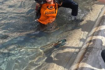 Un'attivista di Ultima generazione nella Fontana di Trevi